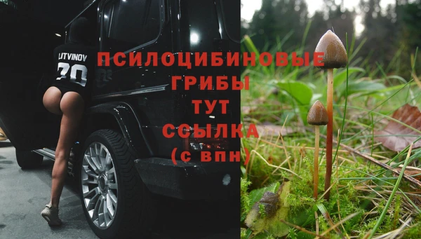 mix Алексин
