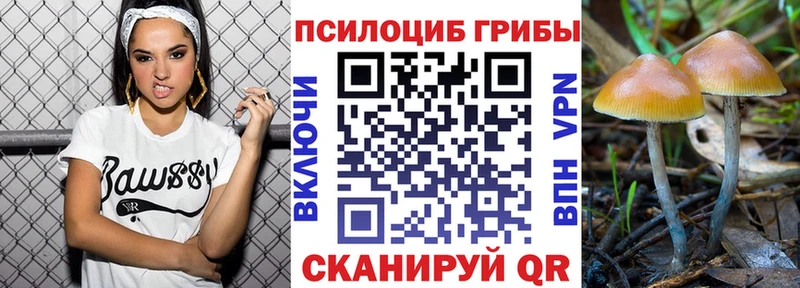 Псилоцибиновые грибы Magic Shrooms  Ачинск 